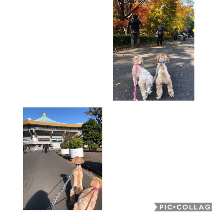 Bcf9a695 7a1f 4798 b0df 92df1b51559d 1607265756925