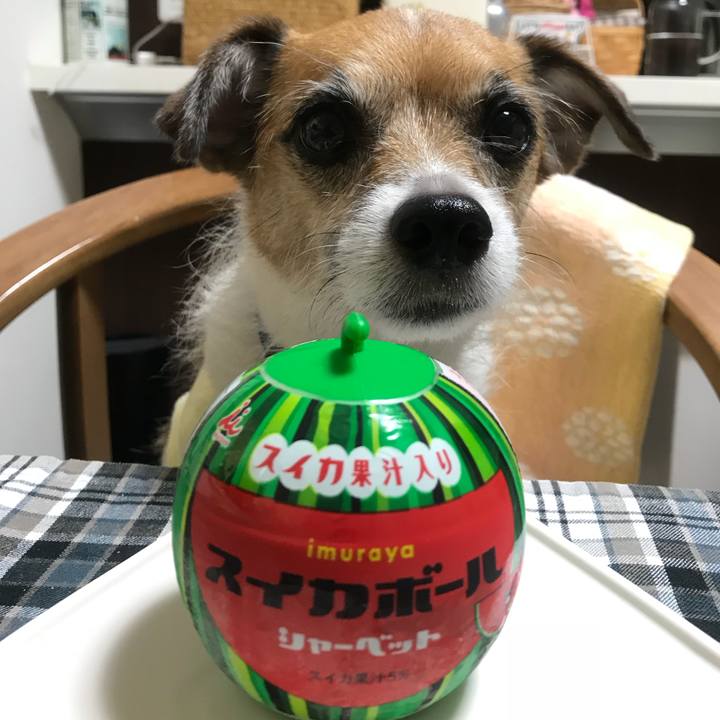 Bcf9baeb b05f 448c 81a8 6f1dd74392d4 1533189562970