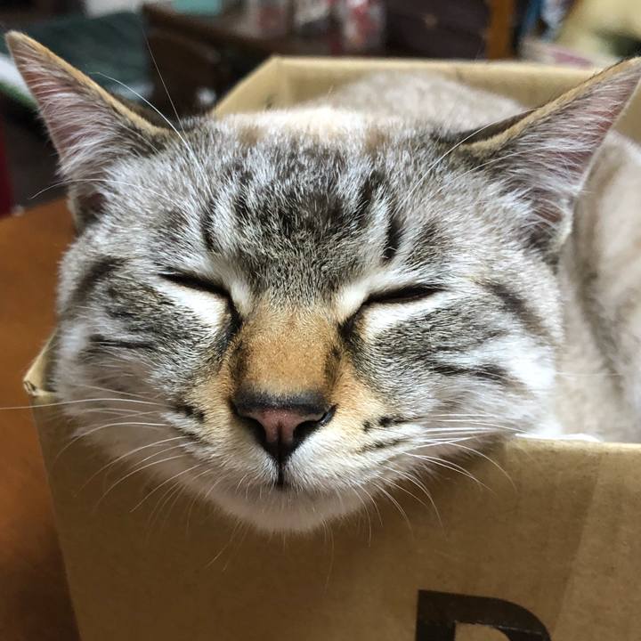 Bcf9c6a7 e157 4ac3 a70b 0406e819ef35 1618147288096