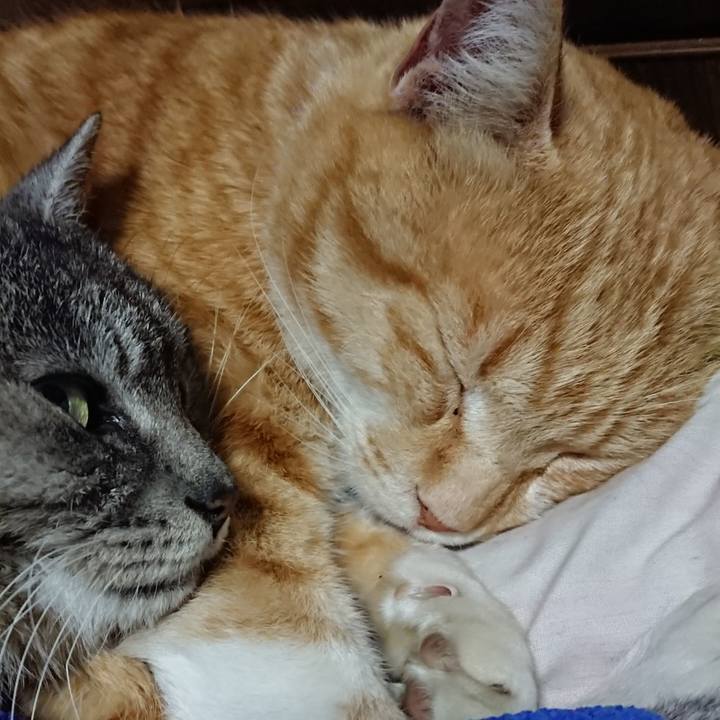 Bcf9d166 3b3a 48b2 b992 509741fc7339 1586953329531