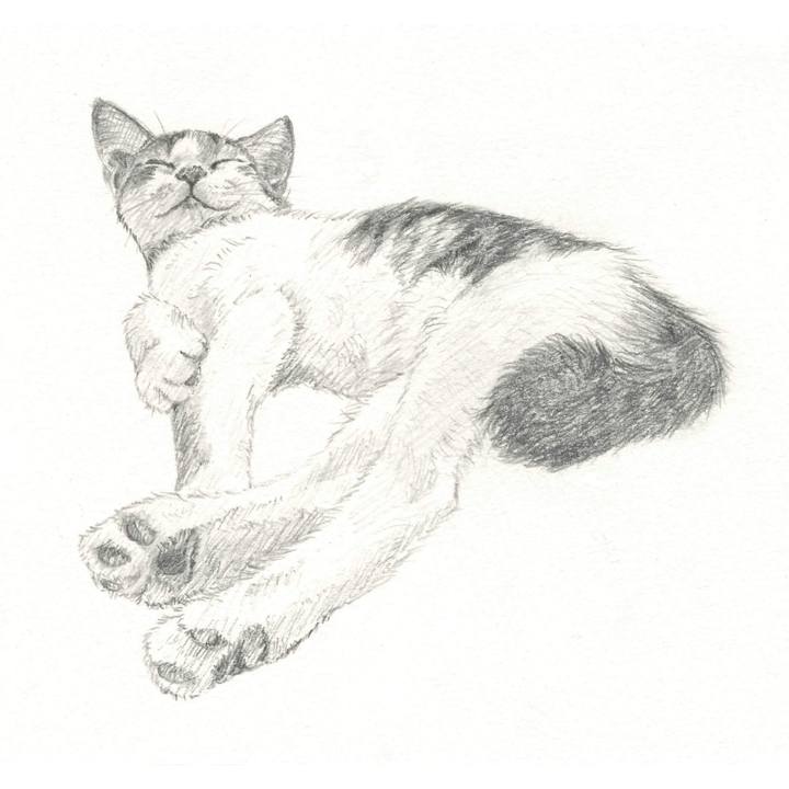 Bcf9d78a 8cdc 4d8b b407 42c950b9a67a 1540641862476