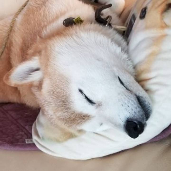 Bcf9ec6c 0fb2 40e6 bf8d 210d1cd804db 1660364740042