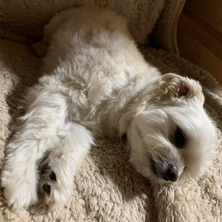 Bcfa1a96 298e 423c b8ab 8bd504dafe0e 1616496372807