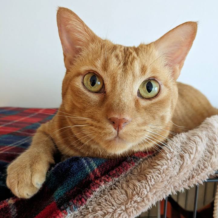 Bcfa205d fc2a 41af 8c5f f0af24879ee5 1697151572944