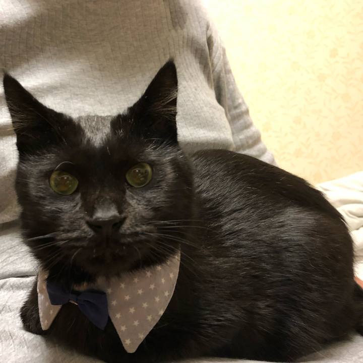 Bcfa319c 6c50 48b2 beb2 6d9b3d687ee1 1572778619777