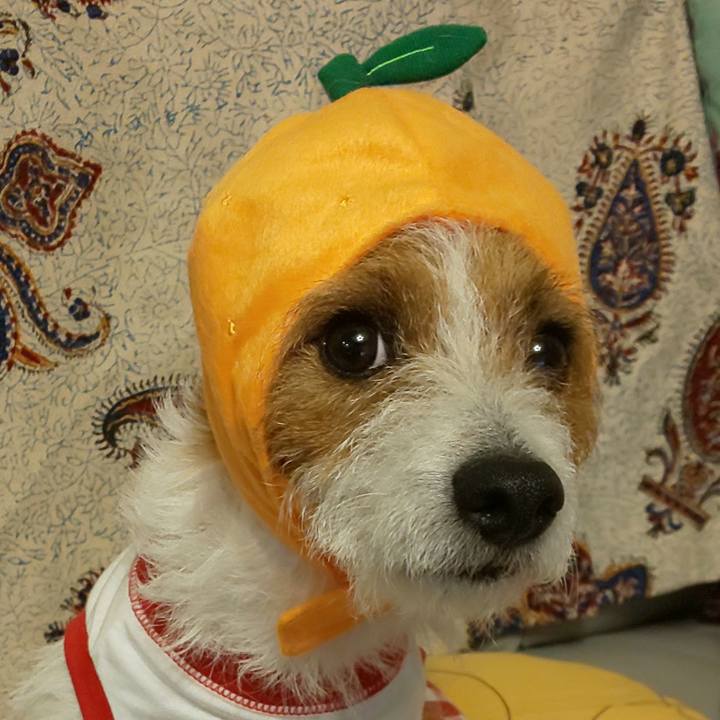 Bcfa5bb3 86f6 427a be32 a60ea795fb56 1556309062564