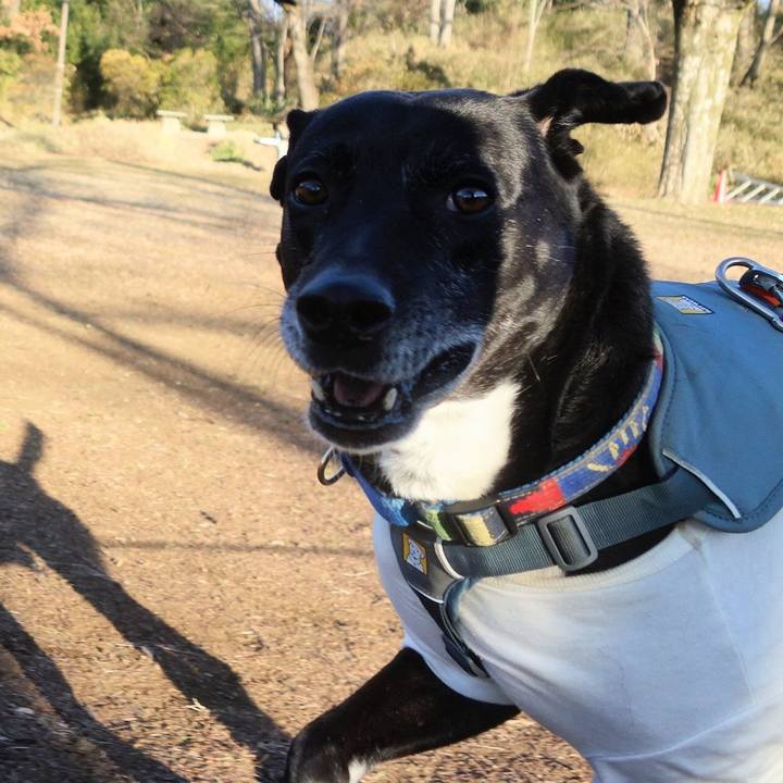 Bcfaac06 d8f2 4870 bf09 8e2cb8fd8e1f 1706923810500