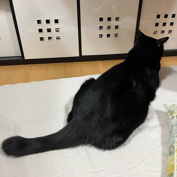 Bcfaae95 6860 4103 9d01 175321315983 1714916717209