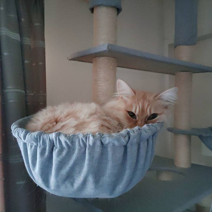 Bcfac1af 51cb 4e40 ae4b f3402d7eb7dd 1703559889423