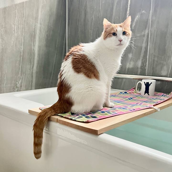 Bcfad4e5 d8ef 4b35 9d78 89c46c3857f7 1768616903411