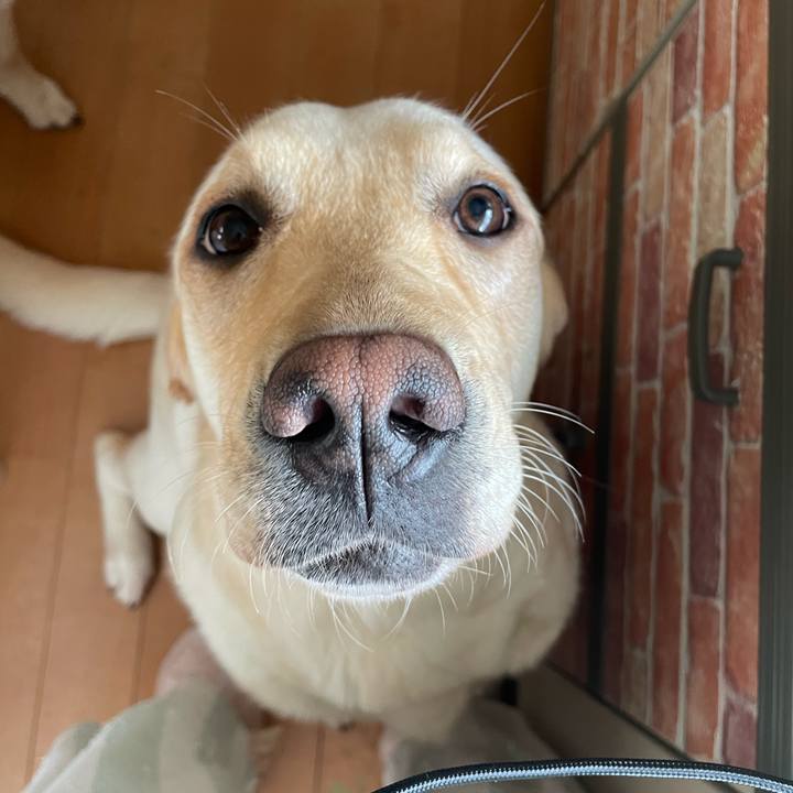 Bcfad517 e0d4 4aa1 a382 c833fcab5a94 1685258607505