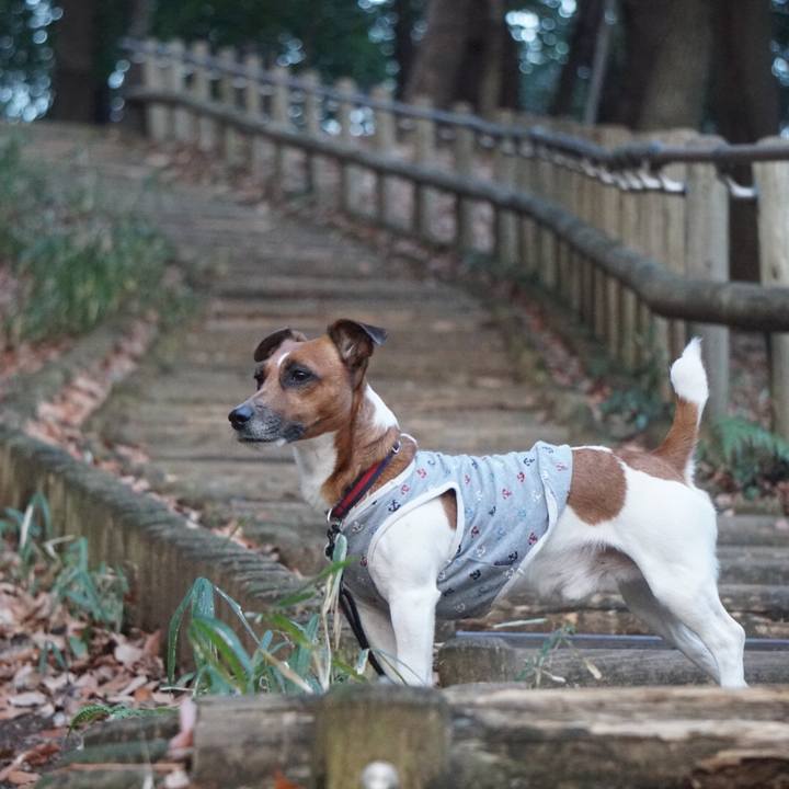 Bcfad690 ff1c 458f 9aa7 0a60619549f8 1520377494811