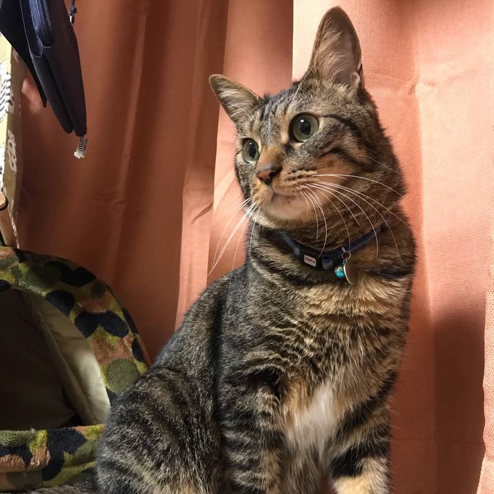 Bcfb1164 515e 4023 99d1 6f7fa57587bd 1563462153250