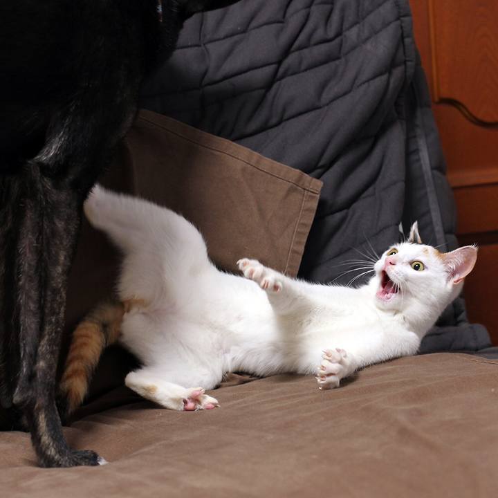 Bcfb4baa 0faa 40d0 8e50 93d0a60c3612 1546212925459