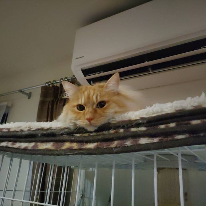 Bcfb526b cf31 460f a2ec 329d1bedc858 1710194969728