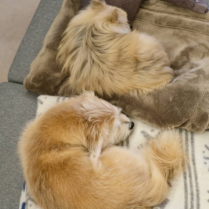 Bcfb8d1c 8d01 498c a2c8 ecc1e577fa93 1772455295053