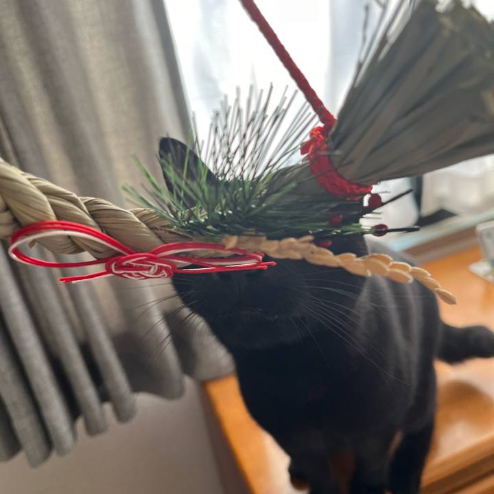 Bcfb9be5 9d81 49bb 85d6 4496819c624b 1703722943220