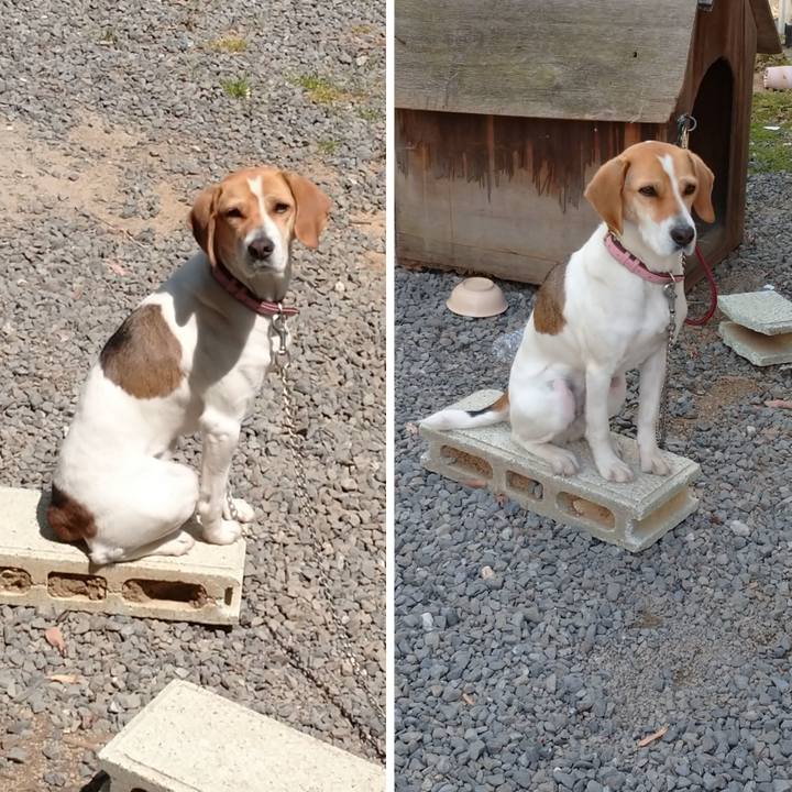 Bcfbbd69 8839 4e5c a610 f37104722021 1587709160005