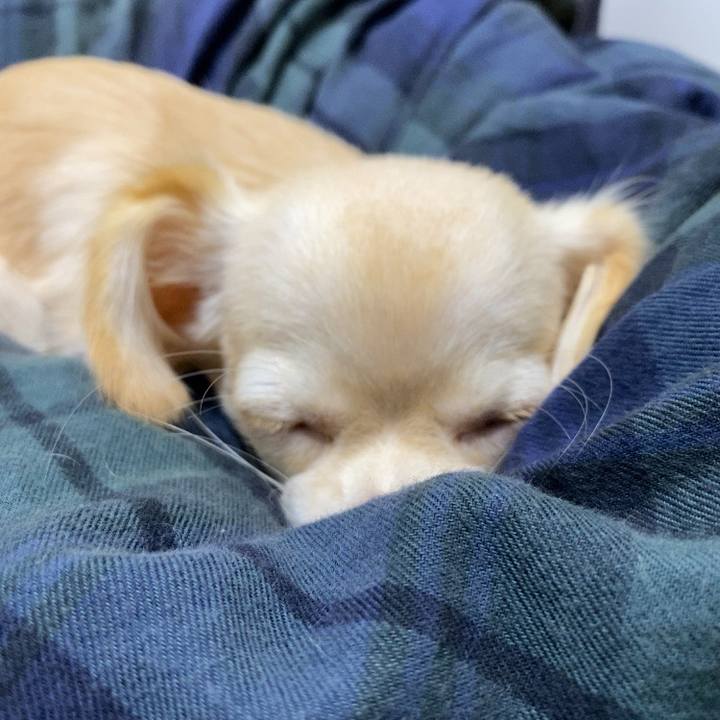 Bcfbc580 3b03 4c31 8bfd edbdedadcec4 1601474752277