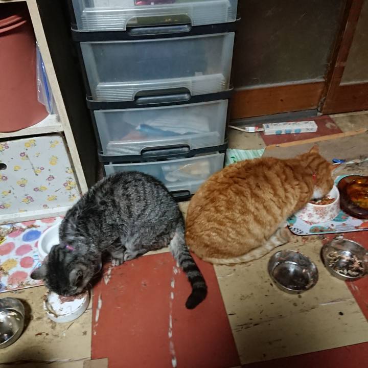 Bcfbe28c 93cc 4d69 8d74 2e5bb82ae6b6 1578646581815