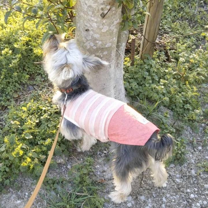 Bcfc4c0f 08d8 4935 b7cb f05b97cd61fd 1545820233867