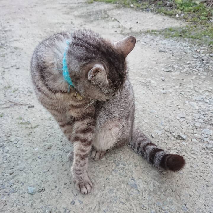 Bcfc697f d9b0 4d25 9134 e3cc06d2e4ec 1553157517999