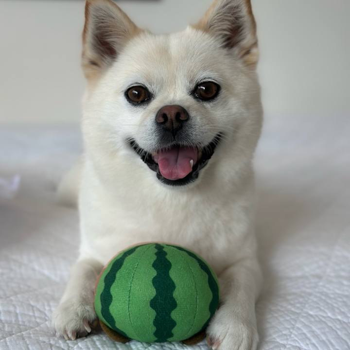 Bcfc82a7 a01f 4086 80b8 47ca468698af 1755553484486