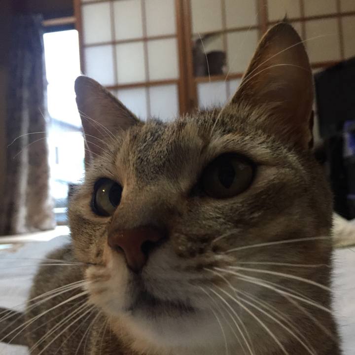 Bcfca7a0 b364 4e3f 9350 d2d6ed91387a 1525816043831