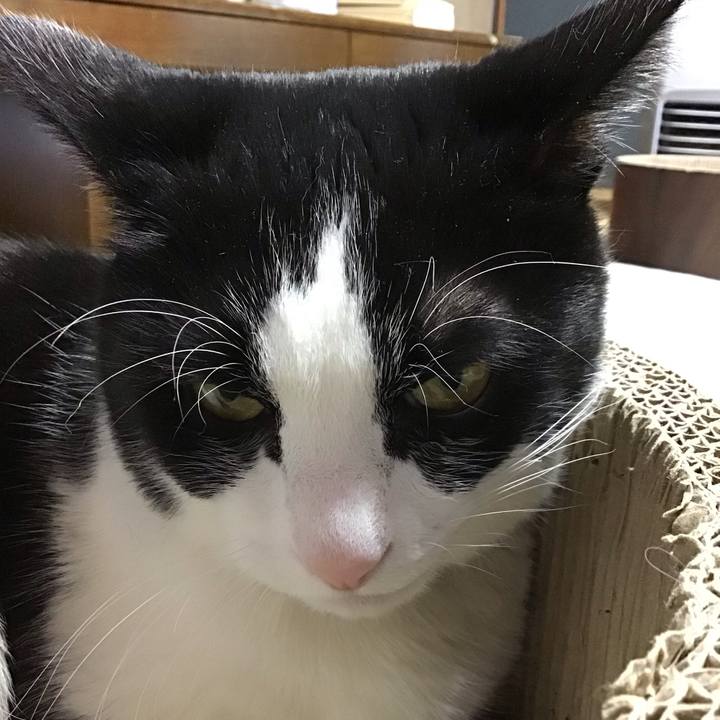 Bcfcc67c e249 4f33 b679 f4596d818911 1708158689351