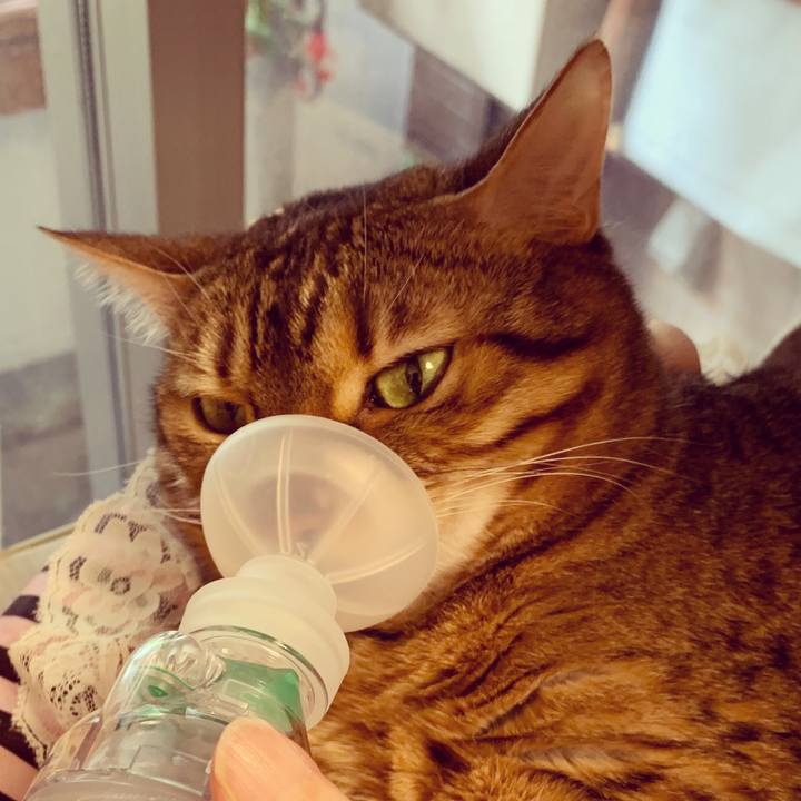 Bcfcc96d b742 4cd6 8264 9f1808d29b17 1589412194172