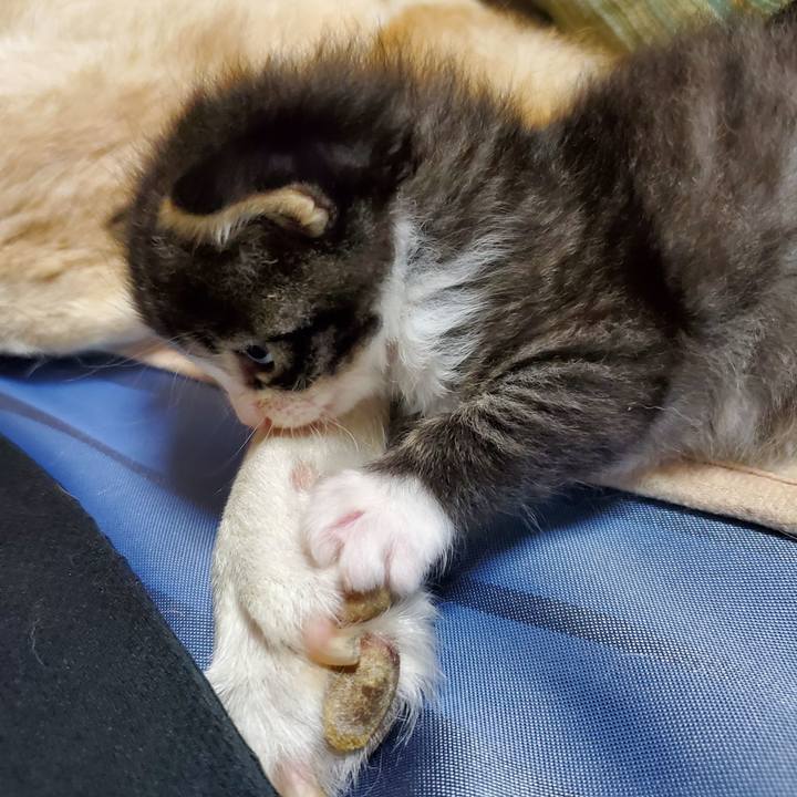 Bcfcc9ce e53a 4147 bd1f 4f6e9ab93f95 1623763648338