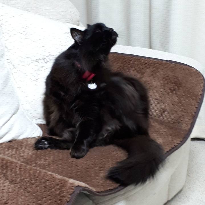 Bcfcd8c5 4612 44c1 9b5b 4feae8882020 1518639803633