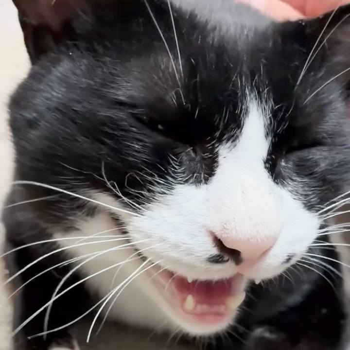 Bcfcec4f 1192 45b1 8976 e3178683948b 1751766432669