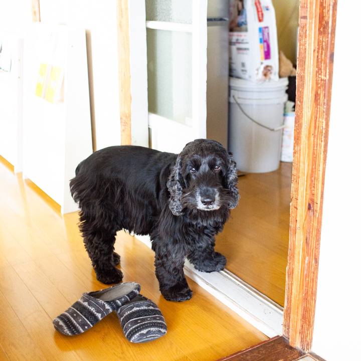 Bcfd1486 8798 4c20 865a 0fea8168ed2d 1553050360469