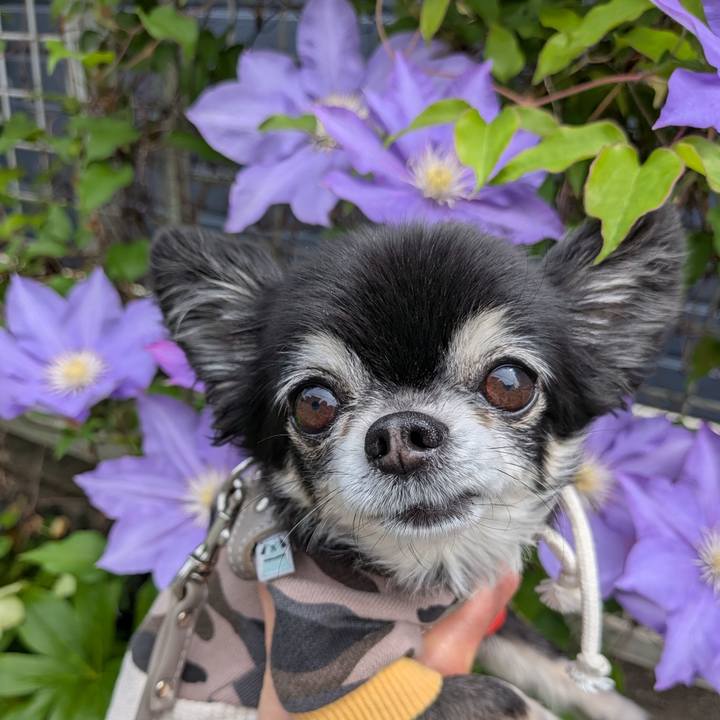 Bcfd154a b47c 42cb aa9b 655fe0ae6fa0 1777003231851