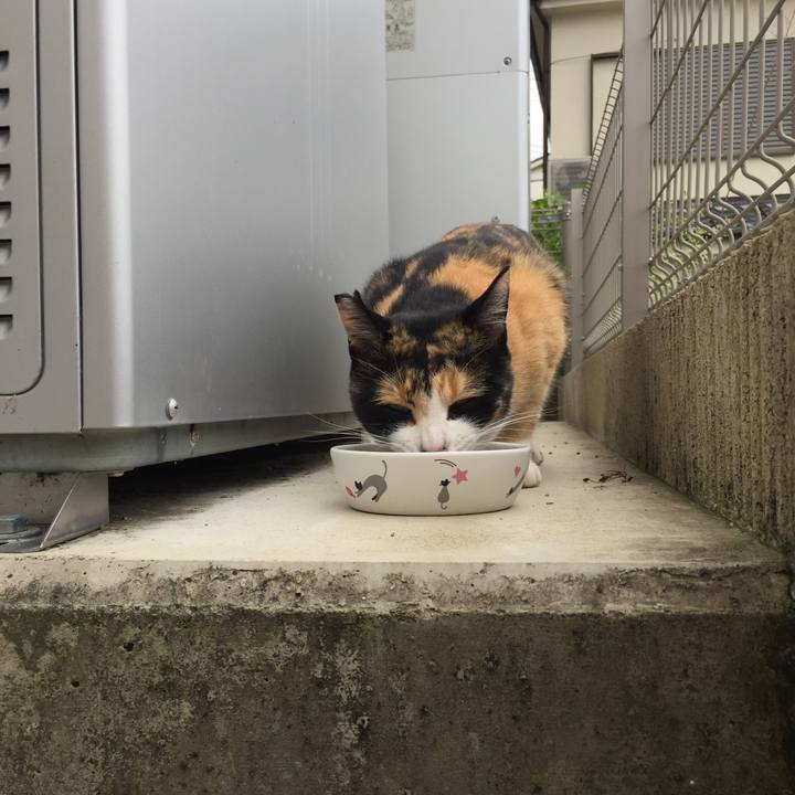 Bcfd1cd7 e222 4509 a152 b3b290604065 1507768441144