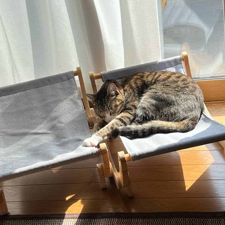 Bcfd453f 834c 45e1 adca 98176088e6a2 1726368745252