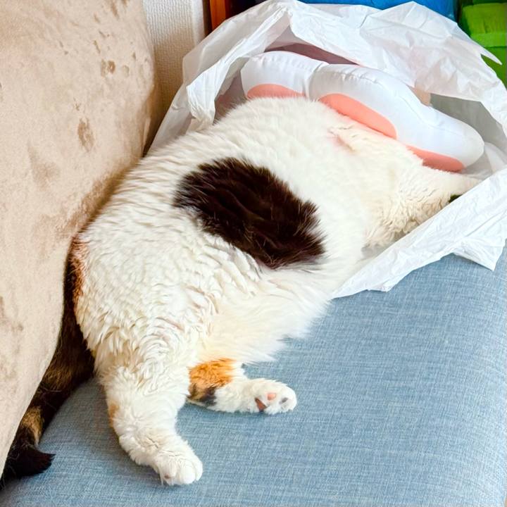 Bcfd59c5 2104 4ff2 9bc0 be91df1fdb67 1738891706457