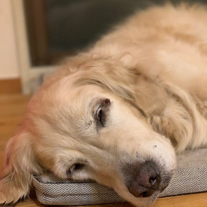 Bcfd7703 1b6a 4871 aa18 59ed37bbcdfb 1552479129790