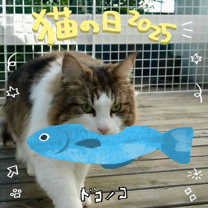 Bcfd7c15 699a 4584 8e19 684b6fd687e5 1740289175432