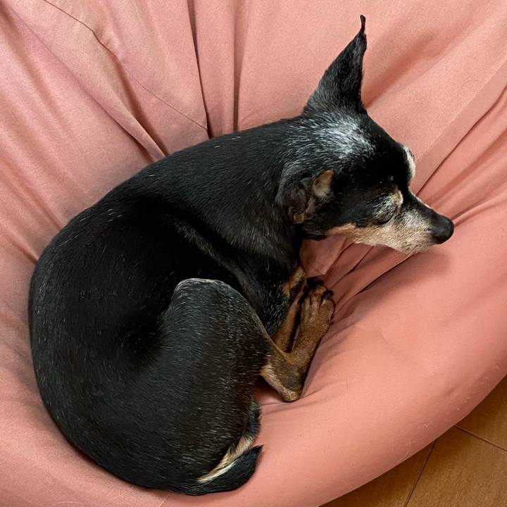 Bcfd7e2c 0a71 4776 a4b7 42b848c10730 1578727216575