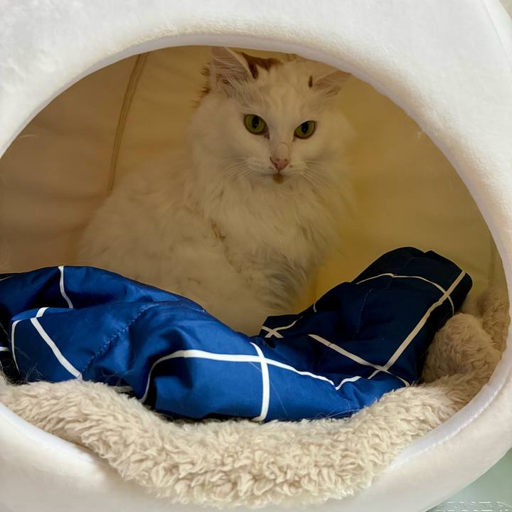 Bcfdb965 21ee 4362 8a1a d1fa8e6574af 1767417636724