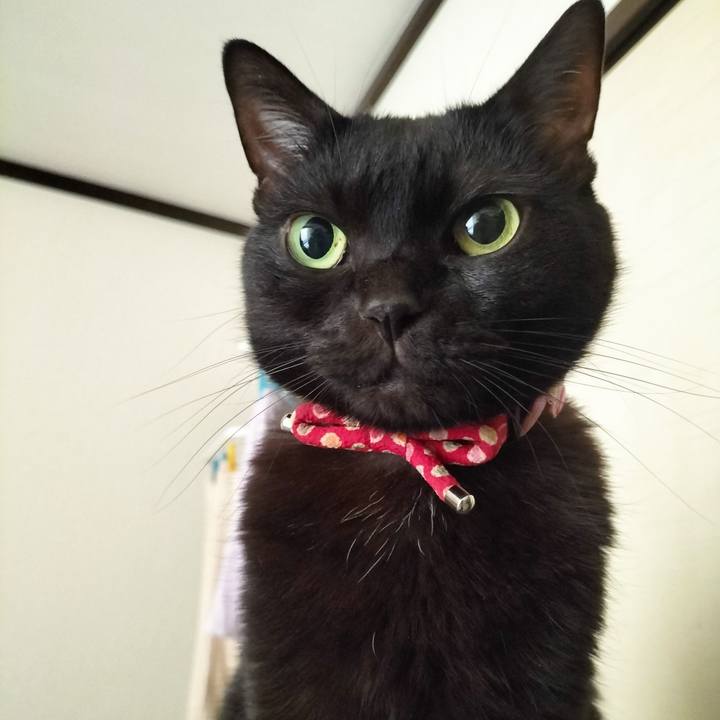 Bcfdeca4 68ba 4fcf 8fb8 37e497d2bc8a 1667857990623