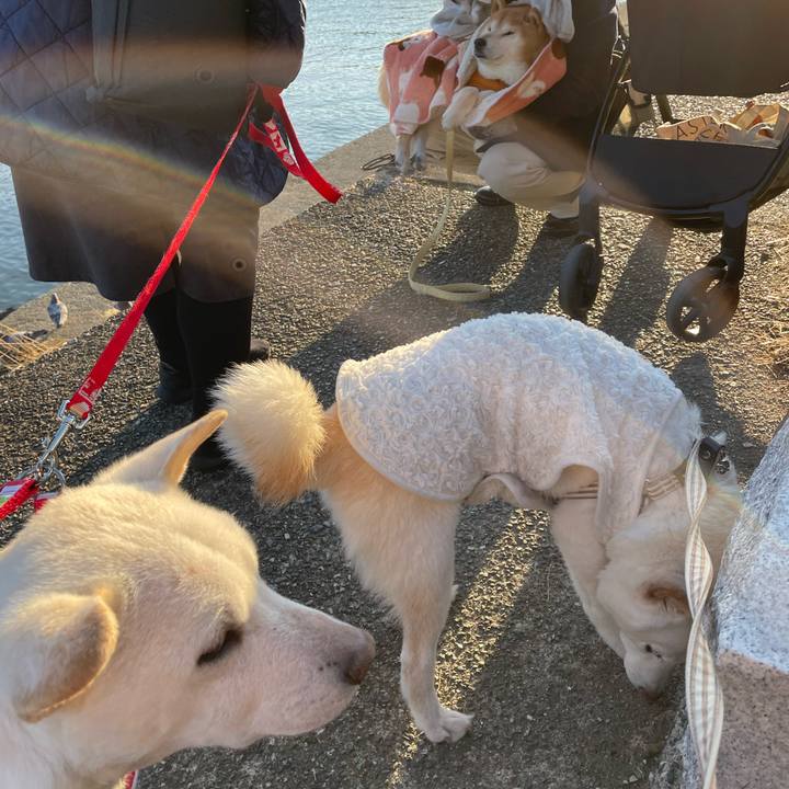 Bcfe4cc6 374c 4835 931e 3f4976755155 1645364913883