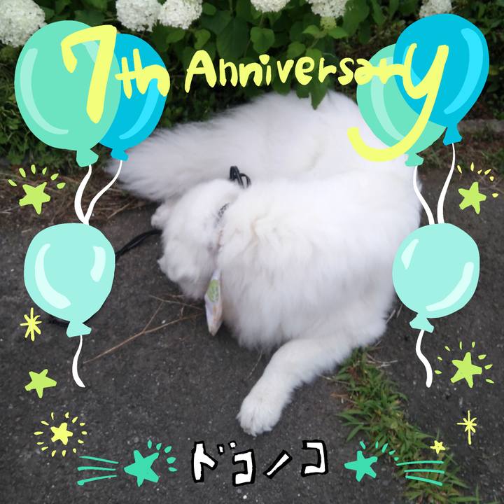 Bcfe63b6 781b 475f b94a 56c0d5b203c7 1686007510110