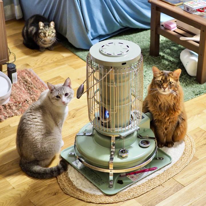 Bcfe90c6 1978 468a 8673 83aa63c56c2a 1735649906894