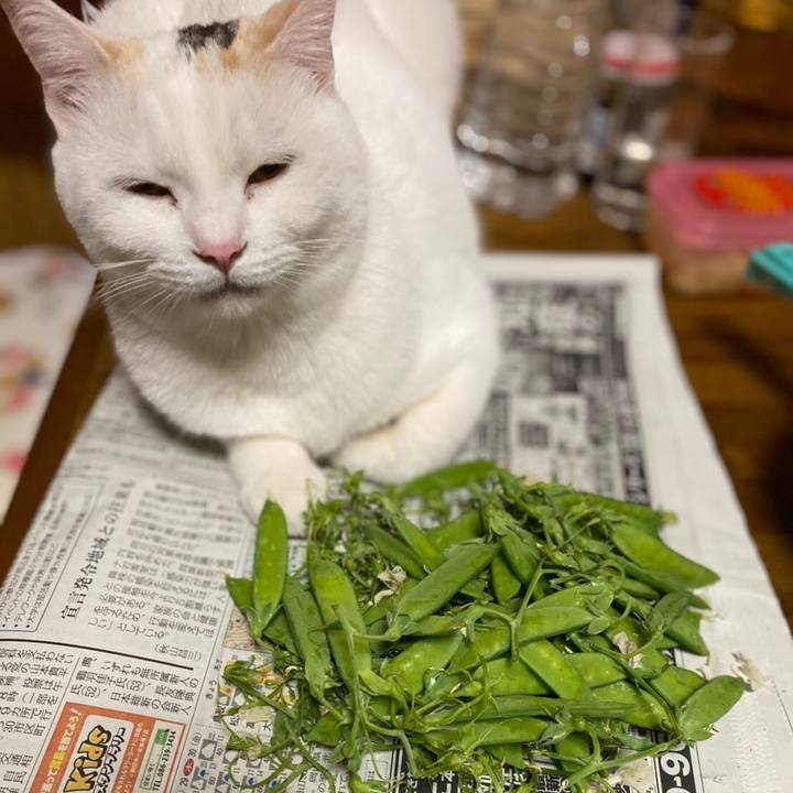 Bcfeb0c0 12ea 4bbb a1a6 6bd7efb3111d 1619441544514