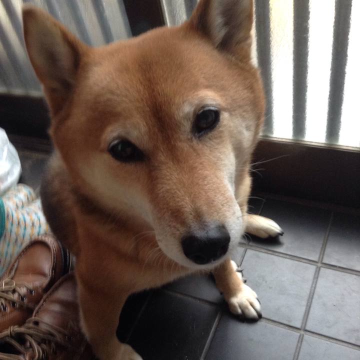 Bcfed544 4d25 43ad 96a5 90b8011f585f 1514077263639