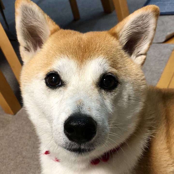 Bcfeea6f 049f 4100 b528 e0b0f8258d8e 1600988425146