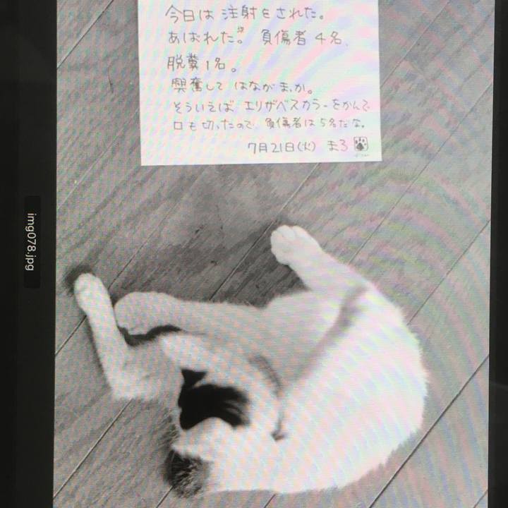 Bcff1242 508f 417a 85c3 83ae4c87fc4b 1591023813525